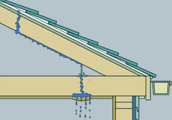 réparation de fuite de toit à la Roche-sur-Yon